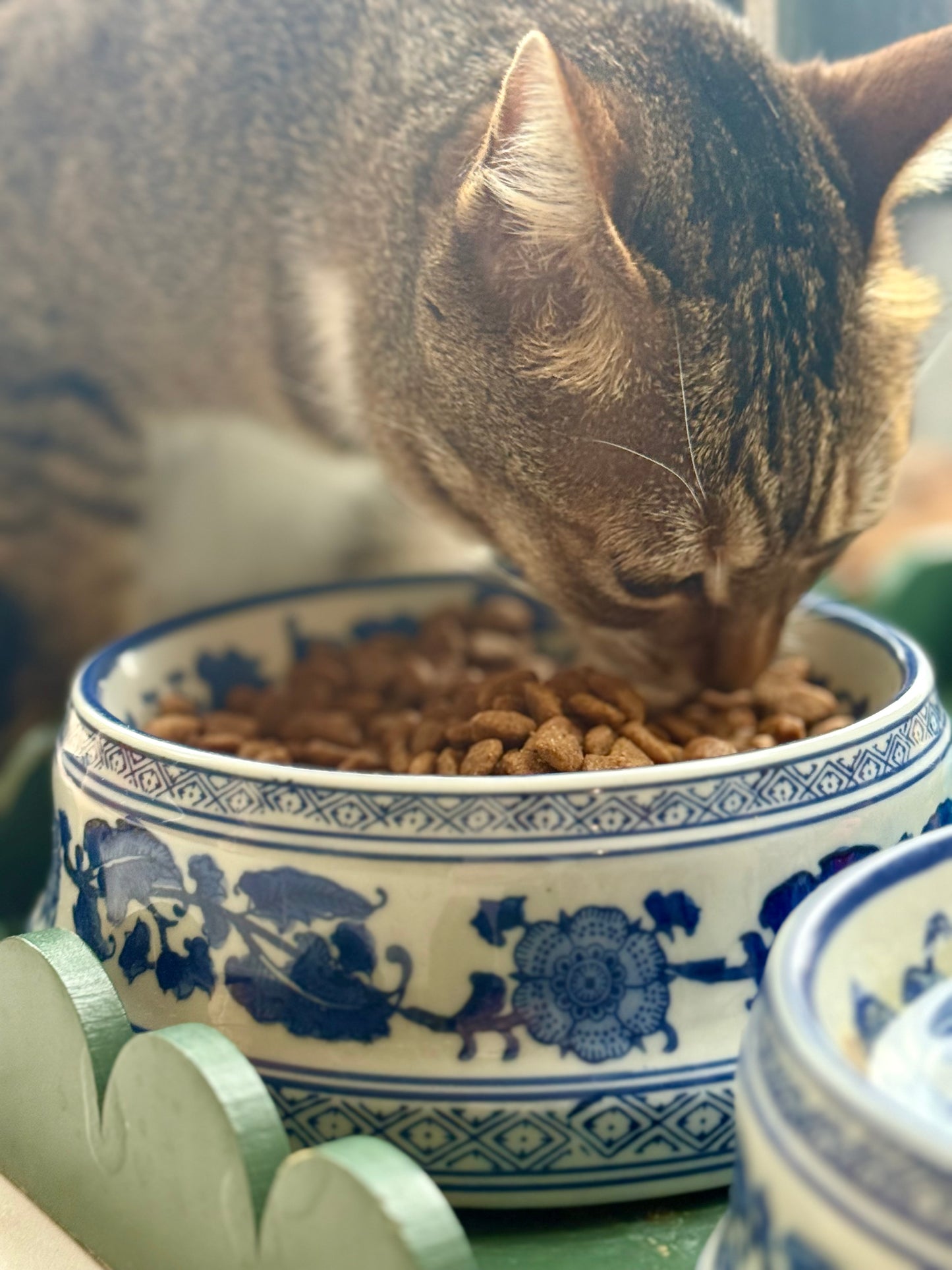 Blue & White Ceramic Pet Bowl