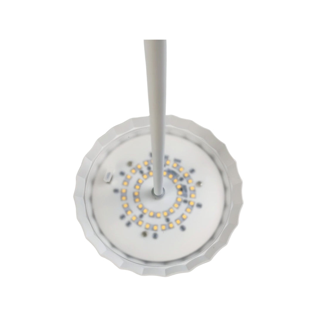 Scallop rechargeable lamp