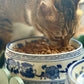 Blue & White Ceramic Pet Bowl