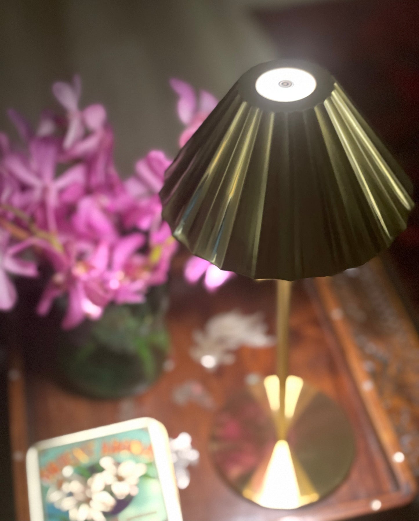 Scallop Rechargeable Light